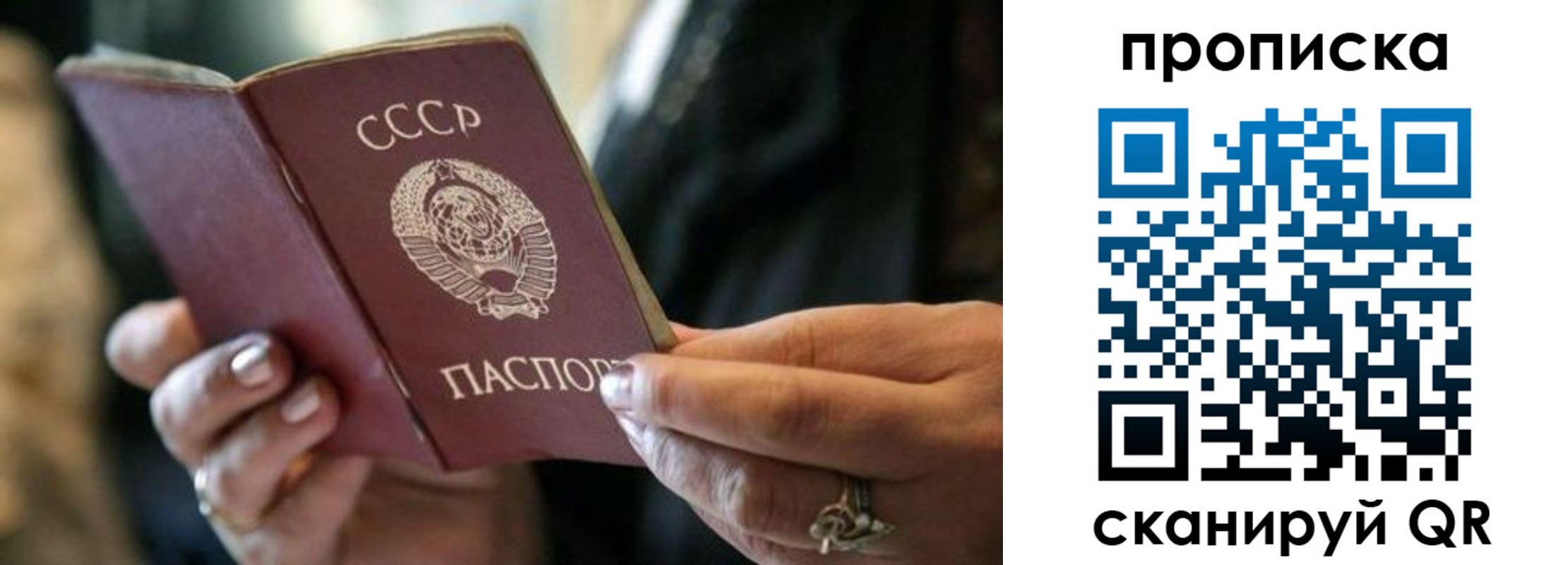 пропишу в квартире в Светлом